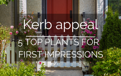 5 Top Plants To Give Your Property Kerb Appeal