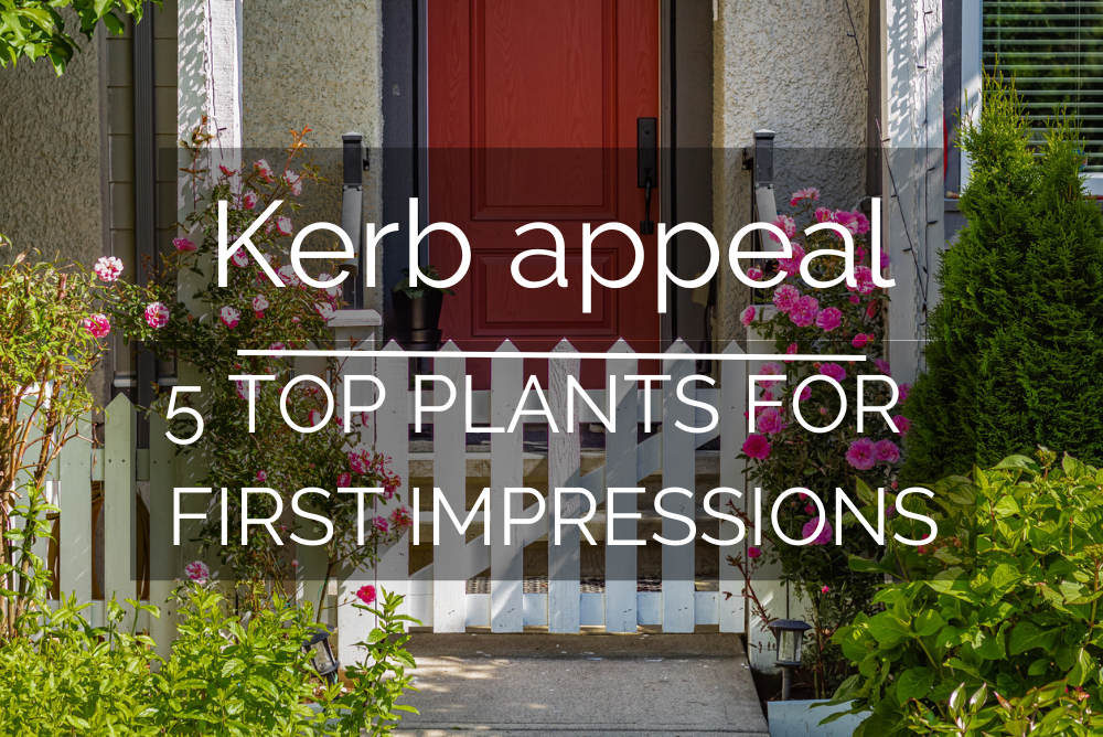5 Top Plants To Give Your Property Kerb Appeal