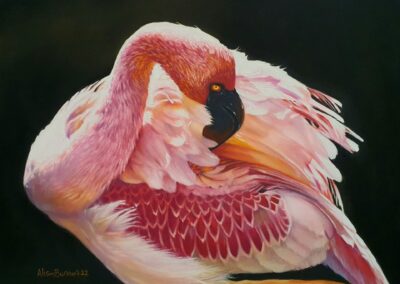 Portraits in Pastels by Alison Burchert - exhibitor at the Essex Property Show